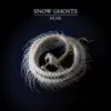 Snow Ghosts - Husk